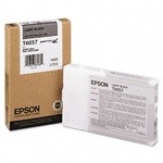 T606700  High Yield Epson  Light Black   200  ML - Product Image
